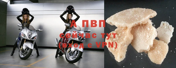 винт Алексин
