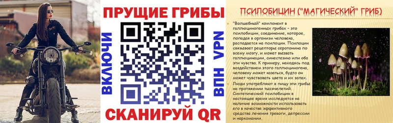 mega онион наркотики Лобня Псилоцибиновые грибы Psilocybine cubensis