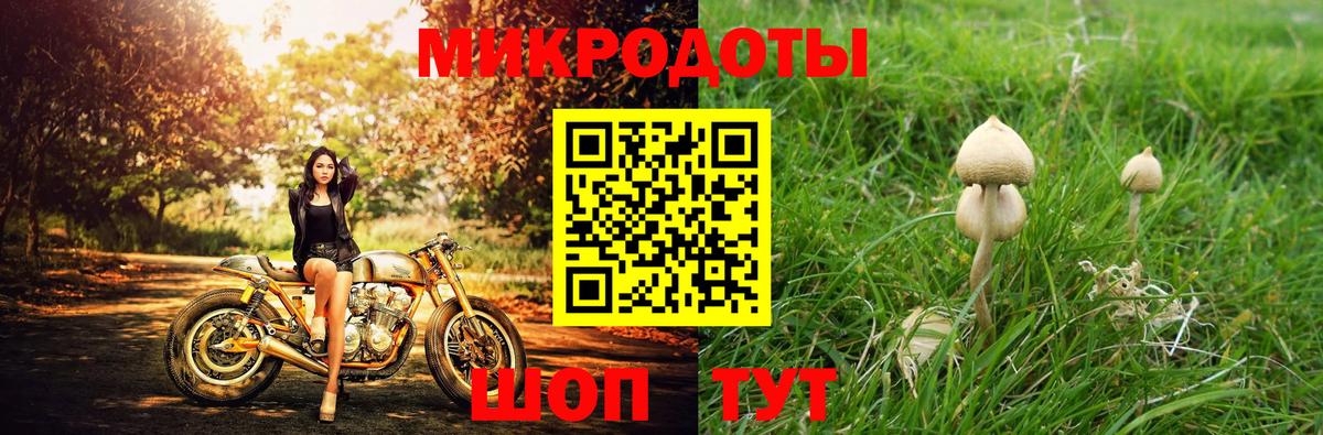 Псилоцибиновые грибы MAGIC MUSHROOMS Лобня
